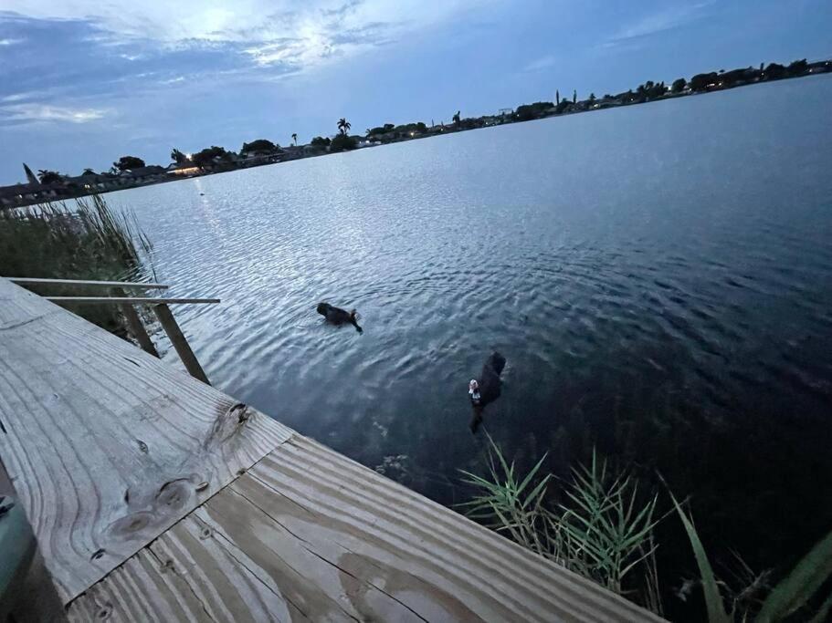 Supervilla - Lakefront - Sunsets, Kayaks, Grill Fort Lauderdale Extérieur photo